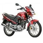 Yamaha Gladiator DX